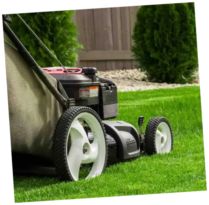 Mantenimiento de jardines