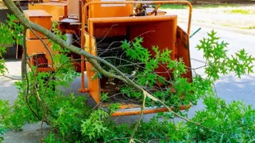 Talas y podas de altura Zaragoza Talas y podas de altura Zaragoza