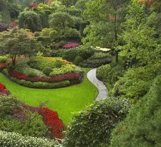 Tala y poda en altura Zaragoza Tala y poda en altura Zaragoza