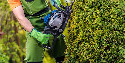 Tala y poda en altura Zaragoza Tala y poda en altura Zaragoza