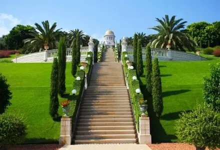 Talas y podas de altura Zaragoza